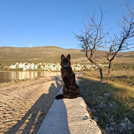 Pet Friendly Cozy Near Apartmán *