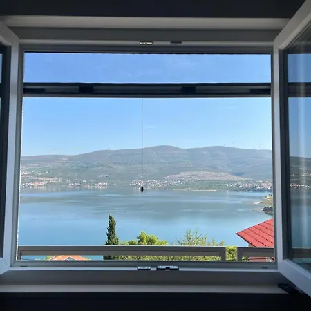 Apartment Pet Friendly Cozy Near